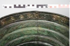 Foto von Bronzerippenciste (NHMW-PRAE-024511)